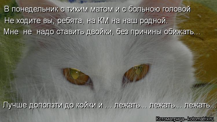 Котоматрица: В понедельник с тихим матом и с больною головой Не ходите вы, ребята, на КМ на наш родной. Мне  не  надо ставить двойки, без причины обижать... Л