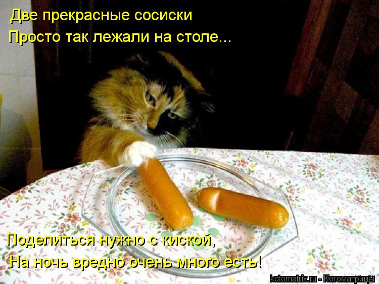 Котоматрица: Две прекрасные сосиски  Просто так лежали на столе... Поделиться нужно с киской, На ночь вредно очень много есть!