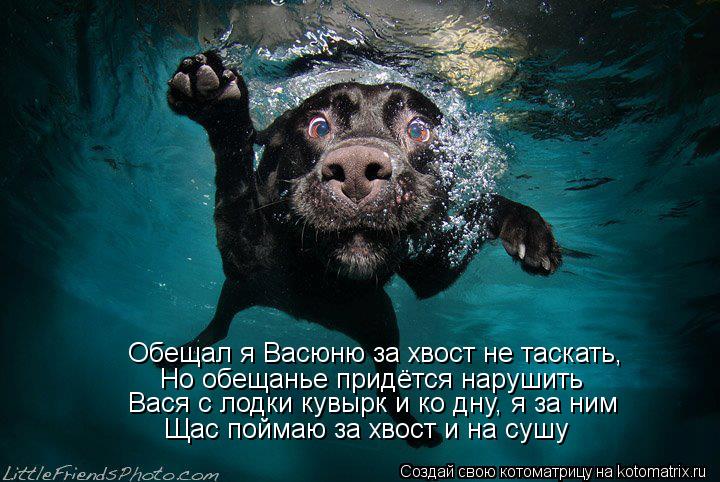 Котоматрица: Обещал я Васюню за хвост не таскать, Но обещанье придётся нарушить Вася с лодки кувырк и ко дну, я за ним Щас поймаю за хвост и на сушу