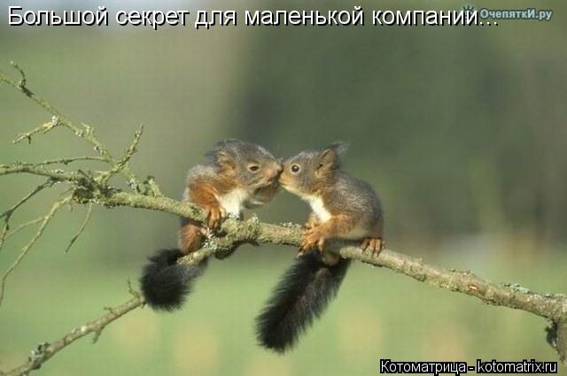 Котоматрица: Большой секрет для маленькой компании...