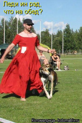 Котоматрица: Леди ин рэд, что на обед?