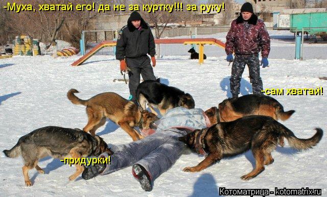 -Муха, хватай его! да не за куртку!!! за руку! -Муха, хватай его! да не за куртку!!! за руку! -сам хв... Котоматрица: -Муха, хватай его! да не за куртку!!! за руку! -Муха, хватай его! да не за куртку!!! за руку! -сам хватай! -придурки!