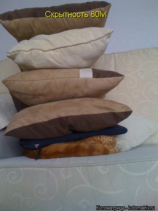Котоматрица: Скрытность 80lvl