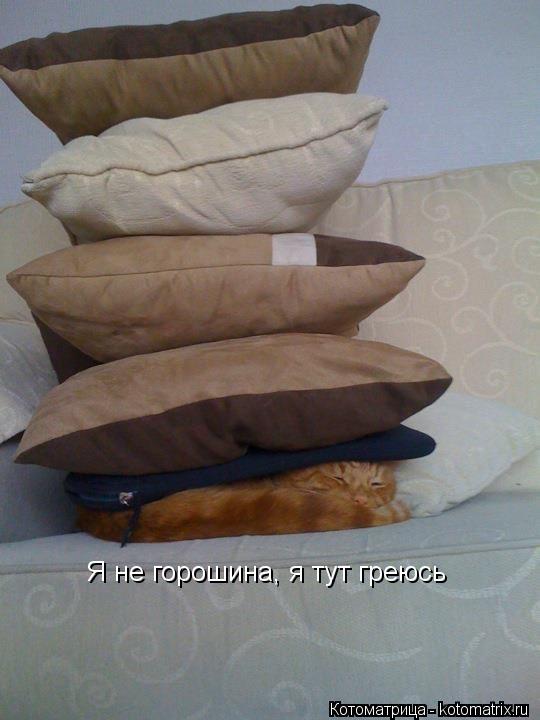 Котоматрица: Я не горошина, я тут греюсь