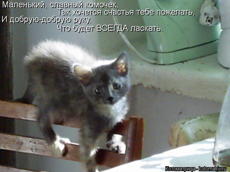 Котоматрица: Маленький, славный комочек, Так хочется счастья тебе пожелать, И добрую-добрую руку, Что будет ВСЕГДА ласкать.