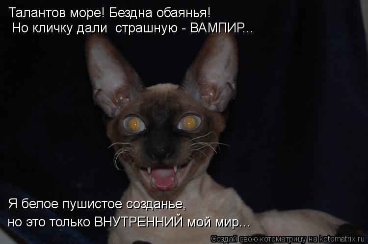 Котоматрица: Талантов море! Бездна обаянья! Но кличку дали  страшную - ВАМПИР... Я белое пушистое созданье,  но это только ВНУТРЕННИЙ мой мир...