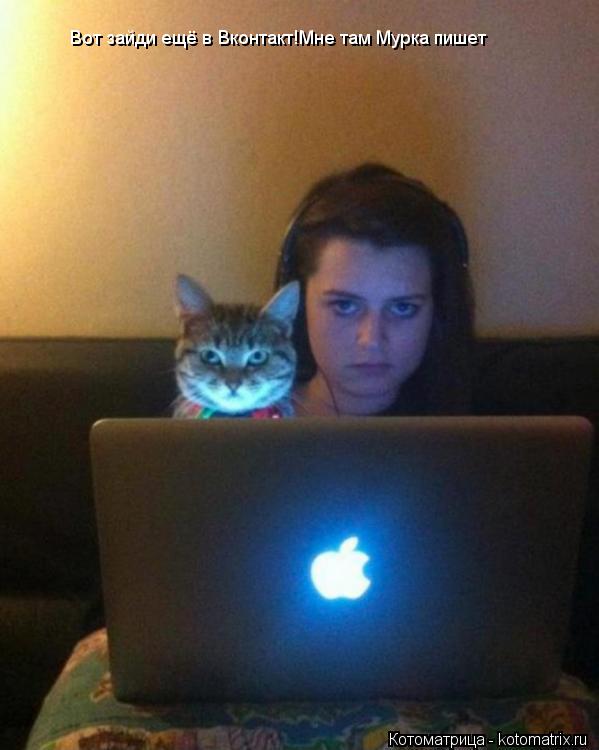 Котоматрица: Вот зайди ещё в Вконтакт!Мне там Мурка пишет