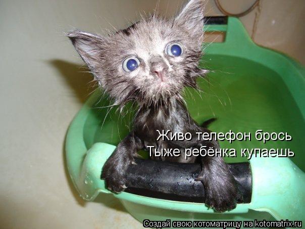 Живо телефон брось Тыже ребёнка купаешь... Котоматрица: Живо телефон брось Тыже ребёнка купаешь