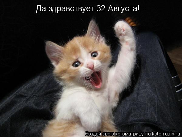 Котоматрица: Да здравствует 32 Августа!