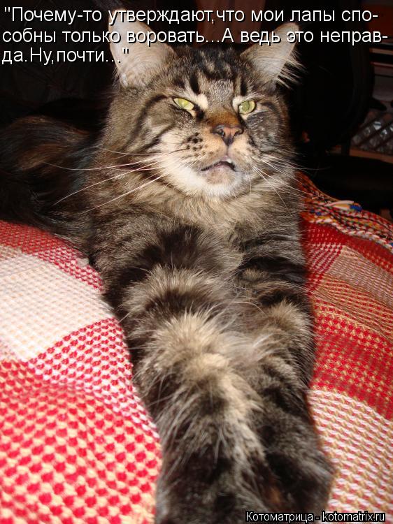 "Почему-то утверждают,что мои лапы спо- собны только воровать...А ведь это неправ- да.Ну,почти..."... Котоматрица: "Почему-то утверждают,что мои лапы спо- собны только воровать...А ведь это неправ- да.Ну,почти..."