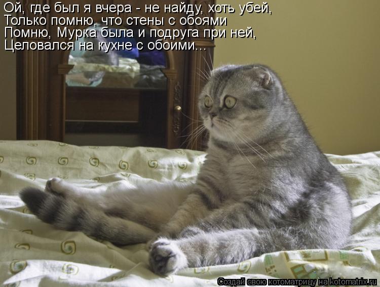 Ой, где был я вчера - не найду, хоть убей, Только помню, что стены с обоями Помню, Мурка была и подру... Котоматрица: Ой, где был я вчера - не найду, хоть убей, Только помню, что стены с обоями Помню, Мурка была и подруга при ней, Целовался на кухне с обоими...