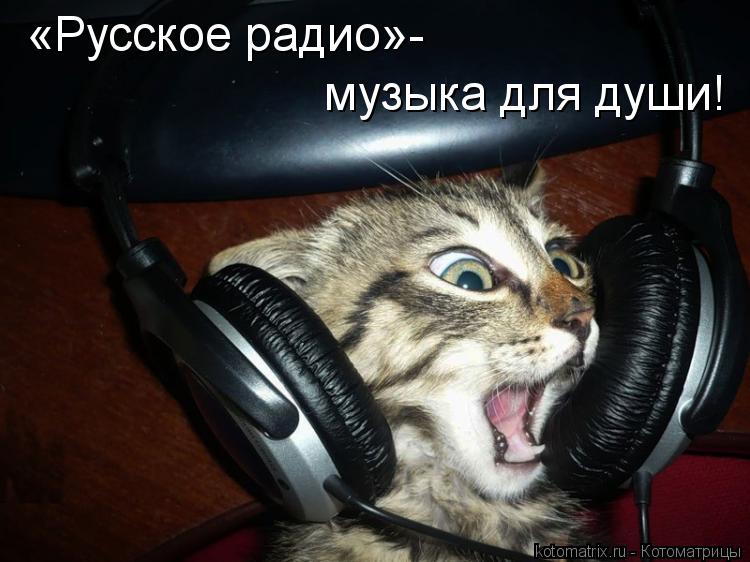 «Русское радио»- музыка для души!... Котоматрица: «Русское радио»- музыка для души!