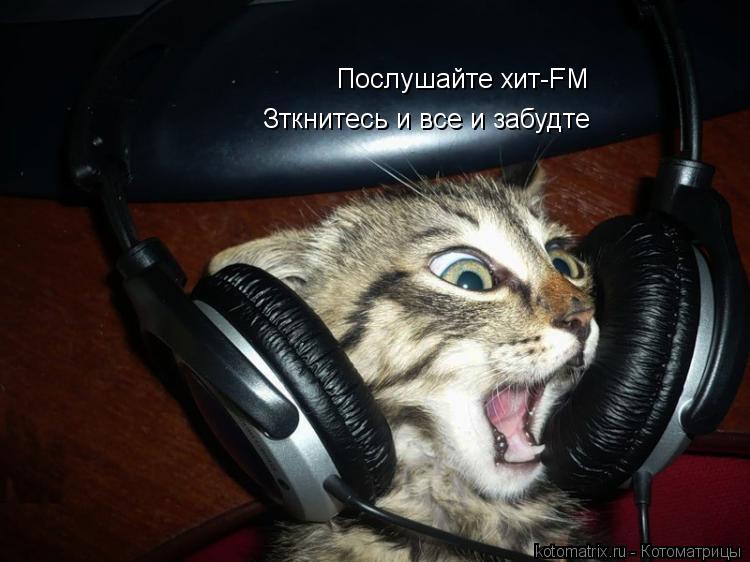 Послушайте хит-FM Зткнитесь и все и забудте... Котоматрица: Послушайте хит-FM Зткнитесь и все и забудте