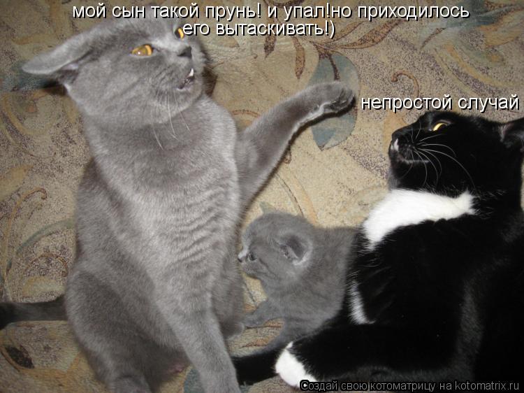Котоматрица: мой сын такой прунь! и упал!но приходилось  его вытаскивать!) непростой случай