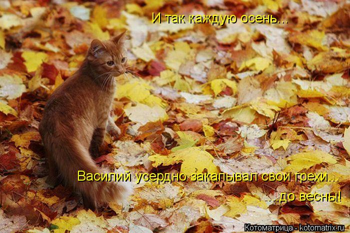Котоматрица: И так каждую осень... Василий усердно закапывал свои грехи... ...до весны!