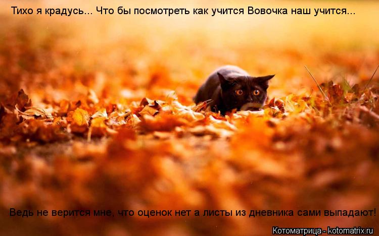 Котоматрица: Тихо я крадусь... Что бы посмотреть как учится Вовочка наш учится... Ведь не верится мне, что оценок нет а листы из дневника сами выпадают!