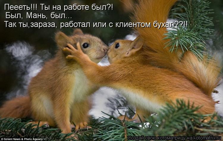 Котоматрица: Пеееть!!! Ты на работе был?! Был, Мань, был... Так ты,зараза, работал или с клиентом бухал??!!