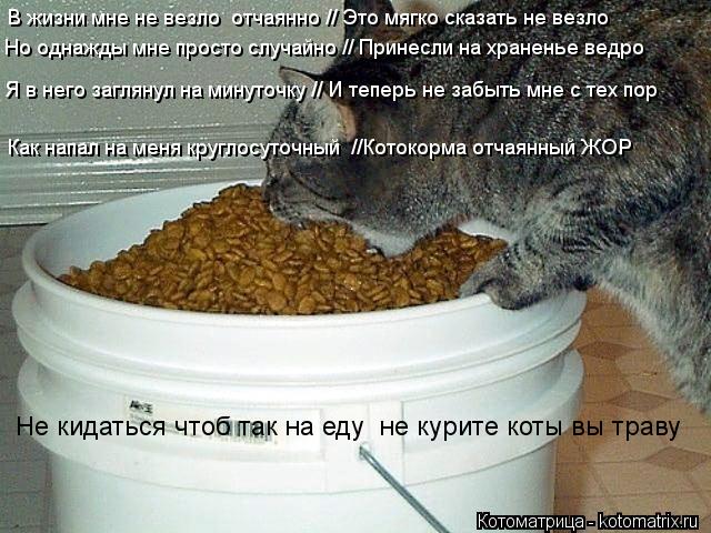 В жизни мне не везло отчаянно // Это мягко сказать не везло Но однажды мне просто случайно // Принес... Котоматрица: В жизни мне не везло отчаянно // Это мягко сказать не везло Но однажды мне просто случайно // Принесли на храненье ведро Я в него заглянул на