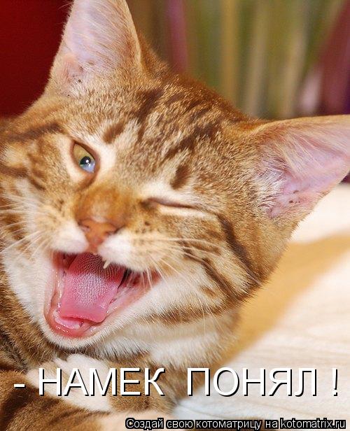 Котоматрица: - НАМЕК  ПОНЯЛ !