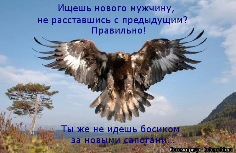Котоматрица: Ищешь нового мужчину,  не расставшись с предыдущим? Правильно!  Ты же не идешь босиком за новыми сапогами…