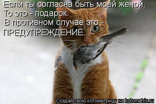 Если ты согласна быть моей женой, То это - подарок. В противном случае это - ПРЕДУПРЕЖДЕНИЕ...... Котоматрица: Если ты согласна быть моей женой, То это - подарок. В противном случае это - ПРЕДУПРЕЖДЕНИЕ...
