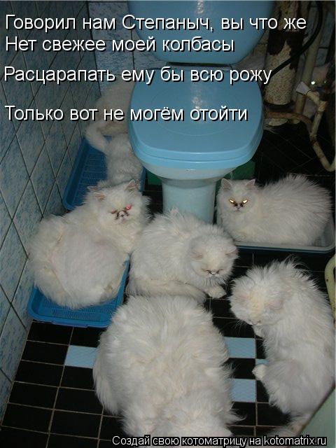 Говорил нам Степаныч, вы что же Нет свежее моей колбасы Расцарапать ему бы всю рожу Только вот не мо... Котоматрица: Говорил нам Степаныч, вы что же Нет свежее моей колбасы Расцарапать ему бы всю рожу Только вот не могём отойти