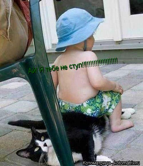 Котоматрица: Ай! Я тебе не стул!!!!!!!!!!!!!!!!!!!!!