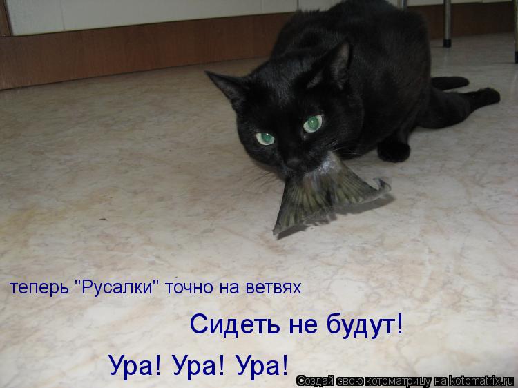 Сидеть не будут! Ура! Ура! Ура! теперь "Русалки" точно на ветвях... Котоматрица: Сидеть не будут! Ура! Ура! Ура! теперь "Русалки" точно на ветвях