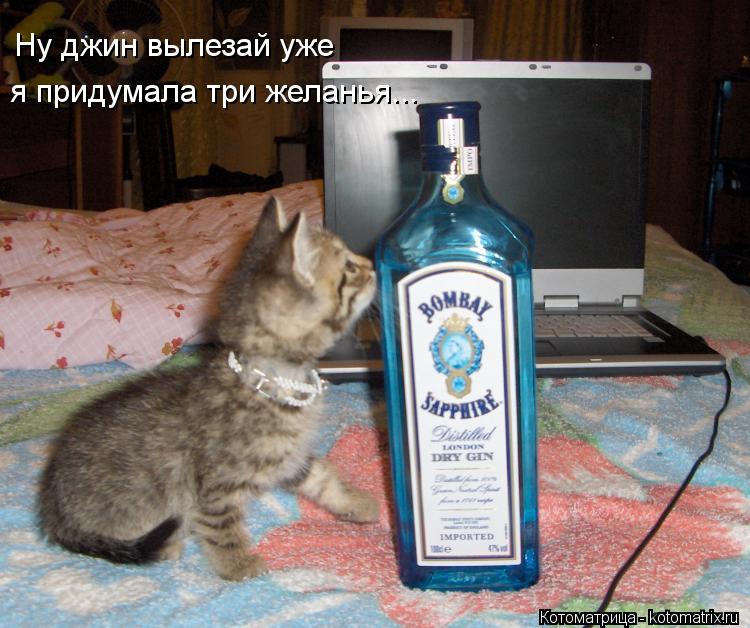 Ну джин вылезай уже я придумала три желанья...... Котоматрица: Ну джин вылезай уже я придумала три желанья...