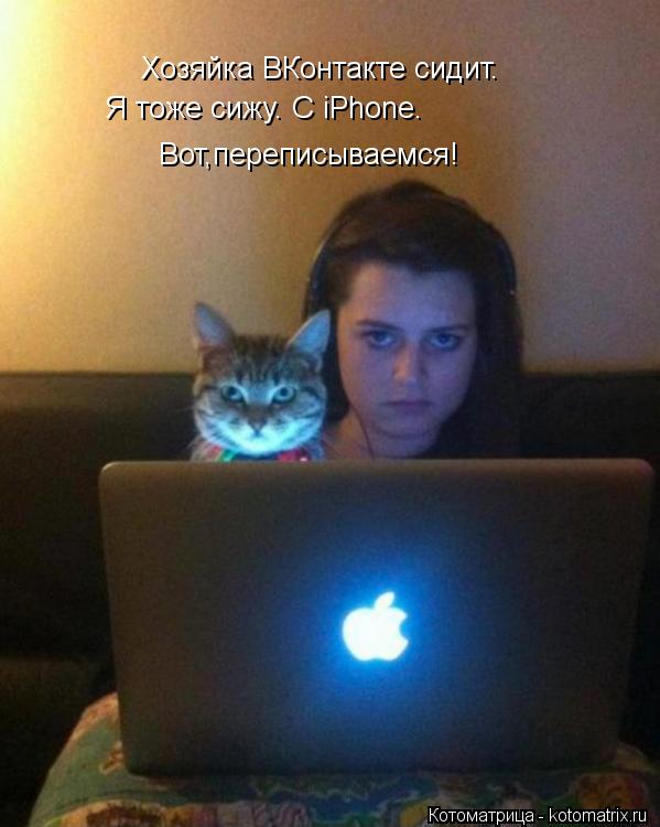 Котоматрица: Хозяйка ВКонтакте сидит. Я тоже сижу. С iPhone.  Вот,переписываемся!