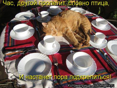 Час, другой пролетит, словно птица, Час, другой пролетит, словно птица, И настанет пора подкрепиться!... Котоматрица: Час, другой пролетит, словно птица, Час, другой пролетит, словно птица, И настанет пора подкрепиться!