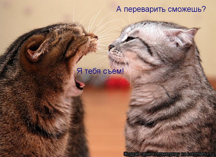 Я тебя съем! А переварить сможешь?... Котоматрица: Я тебя съем! А переварить сможешь?