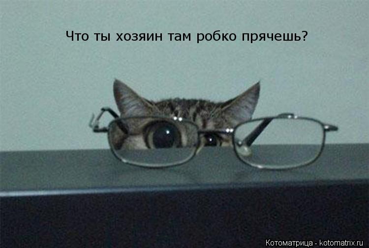 Котоматрица: Что ты хозяин там робко прячешь?