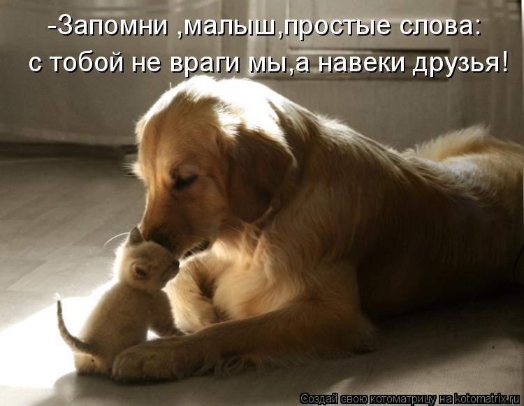 -Запомни ,малыш,простые слова: с тобой не враги мы,а навеки друзья!... Котоматрица: -Запомни ,малыш,простые слова: с тобой не враги мы,а навеки друзья!