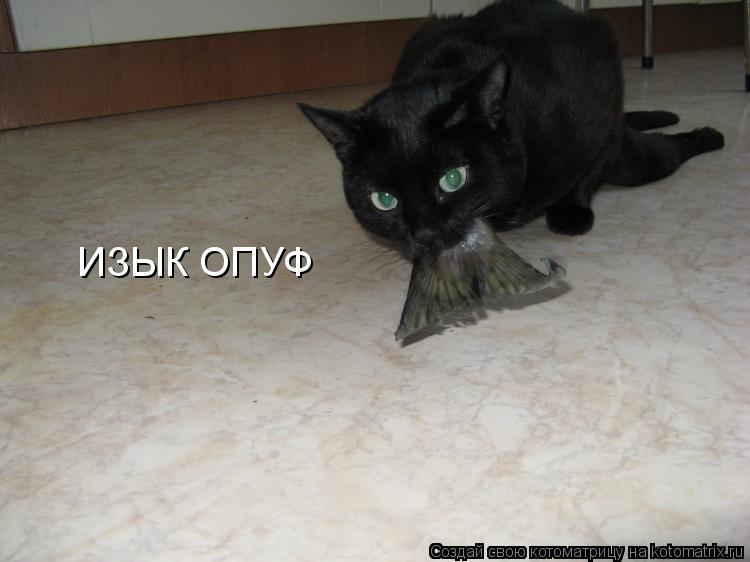 ИЗЫК ОПУФ... Котоматрица: ИЗЫК ОПУФ
