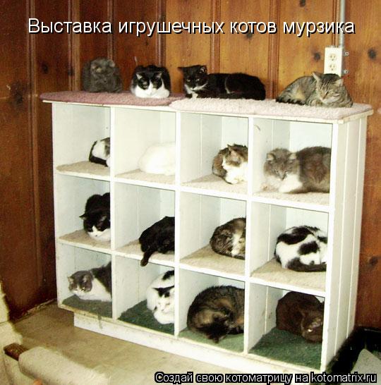 Выставка игрушечных котов мурзика... Котоматрица: Выставка игрушечных котов мурзика
