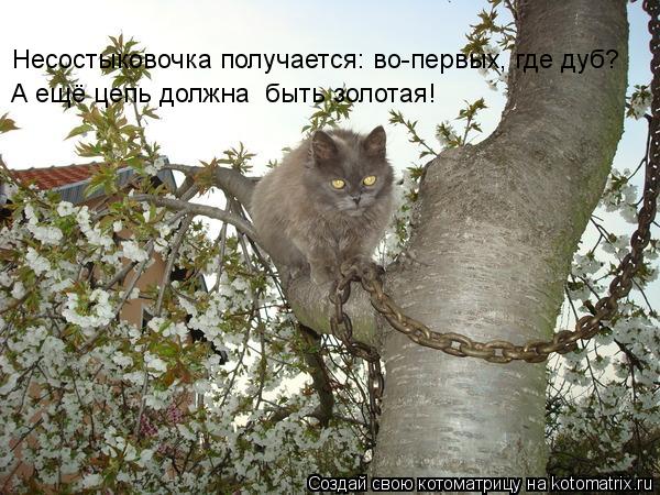 Котоматрица: Несостыковочка получается: во-первых, где дуб? А ещё цепь должна  быть золотая!