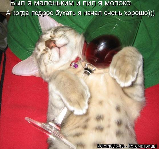 Котоматрица: Был я маленьким и пил я молоко А когда подрос бухать я начал очень хорошо)))
