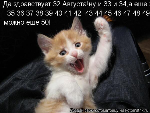 Котоматрица: Да здравствует 32 Августа!ну и 33 и 34,а ещё 35 36 37 38 39 40 41 42    35 36 37 38 39 40 41 42  43 44 45 46 47 48 49 можно ещё 50!