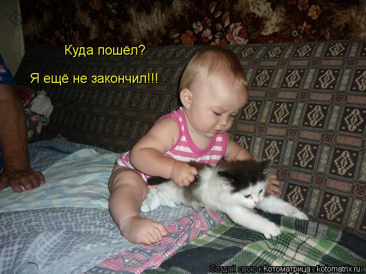 Котоматрица: Куда пошёл? Я ещё не закончил!!!