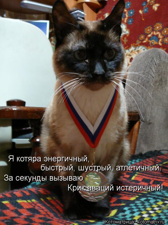 Котоматрица: Я котяра энергичный, быстрый, шустрый, атлетичный. За секунды вызываю Крик аваций истеричный!