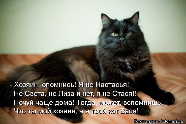 - Хозяин, опомнись! Я не Настасья! Не Света, не Лиза и нет, я не Стася!! Ночуй чаще дома! Тогда, може... Котоматрица: - Хозяин, опомнись! Я не Настасья! Не Света, не Лиза и нет, я не Стася!! Ночуй чаще дома! Тогда, может, вспомнишь, Что ты мой хозяин, а я твой кот В