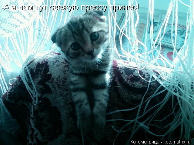 Доброе утро, страна! - прикольные картинки - Юмор от Капук Прикольные картинки с добрым утром (30 фото) Прикольные