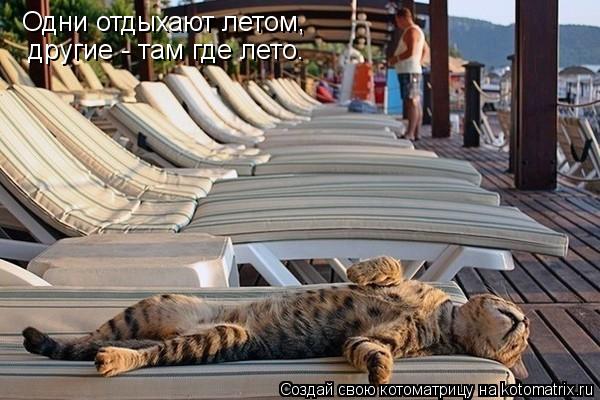Котоматрица: Одни отдыхают летом, другие - там где лето.