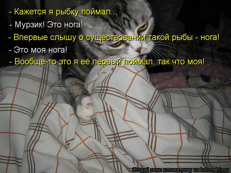 Котоматрица: - Кажется я рыбку поймал... - Мурзик! Это нога! - Впервые слышу о существовании такой рыбы - нога! - Это моя нога! - Вообще-то это я её первый пойма