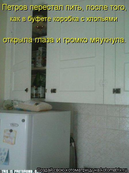 Котоматрица: Петров перестал пить, после того,  как в буфете коробка с хлопьями открыла глаза и громко мяукнула.