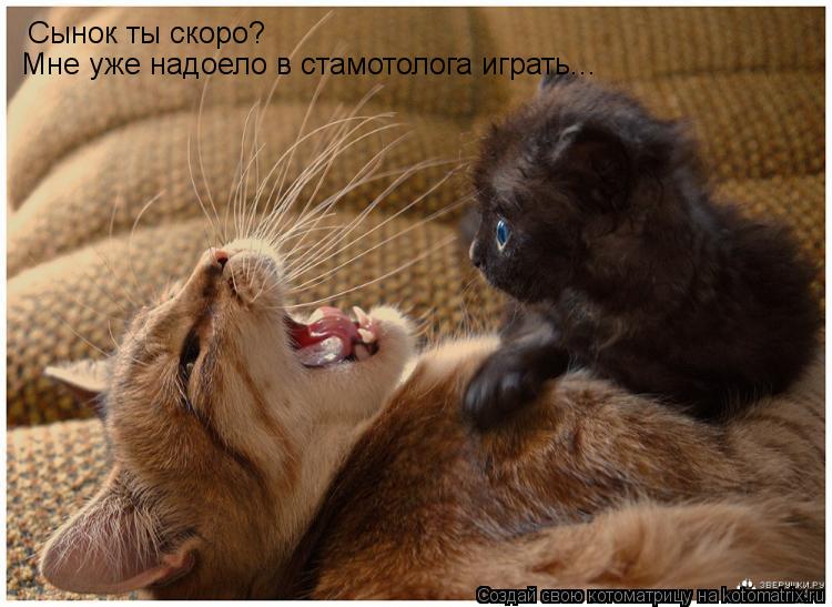 Сынок ты скоро? Мне уже надоело в стамотолога играть...... Котоматрица: Сынок ты скоро? Мне уже надоело в стамотолога играть...