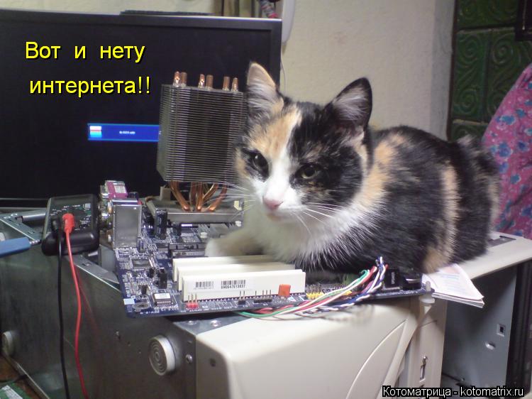 Котоматрица: Вот  и  нету Вот  и  нету интернета!!