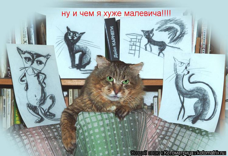 Котоматрица: ну и чем я хуже малевича!!!!