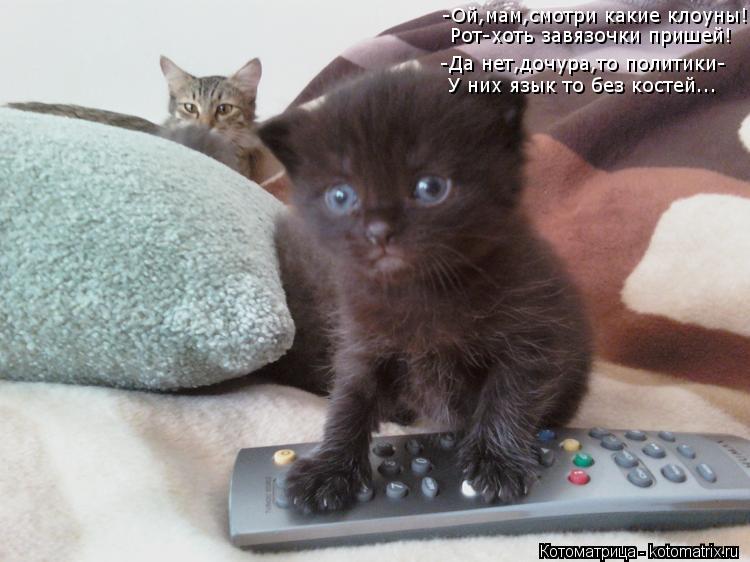 Котоматрица: -Ой,мам,смотри какие клоуны! Рот-хоть завязочки пришей! -Да нет,дочура,то политики- У них язык то без костей...